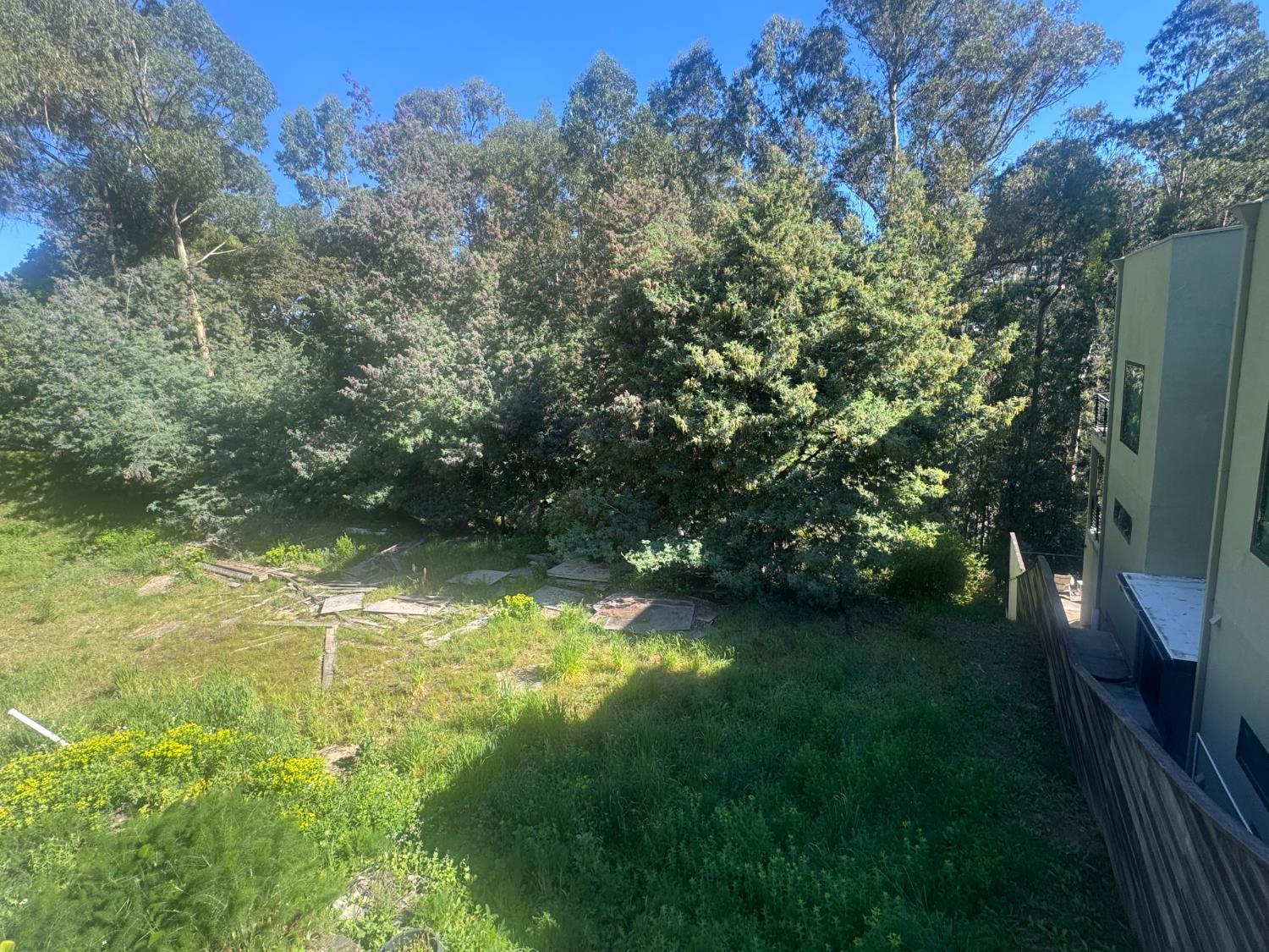164 Sheridan Road Oakland, CA 94618 - Photo 2 of 3 a backyard of a house with lots of green space