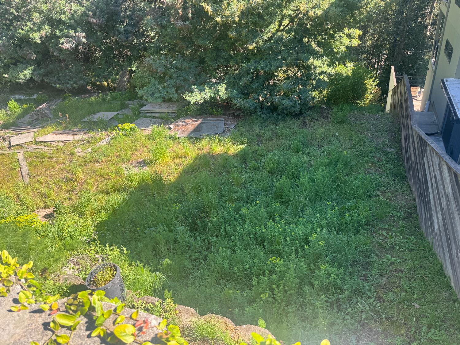 164 Sheridan Road Oakland, CA 94618 - Photo 3 of 3 a view of a lake from a yard