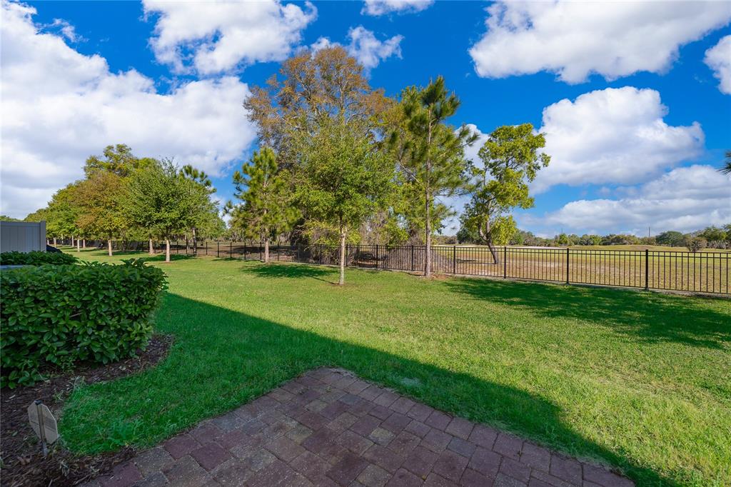 963 Robin Holly Street Ocoee, FL 34761 - Photo 22 of 30