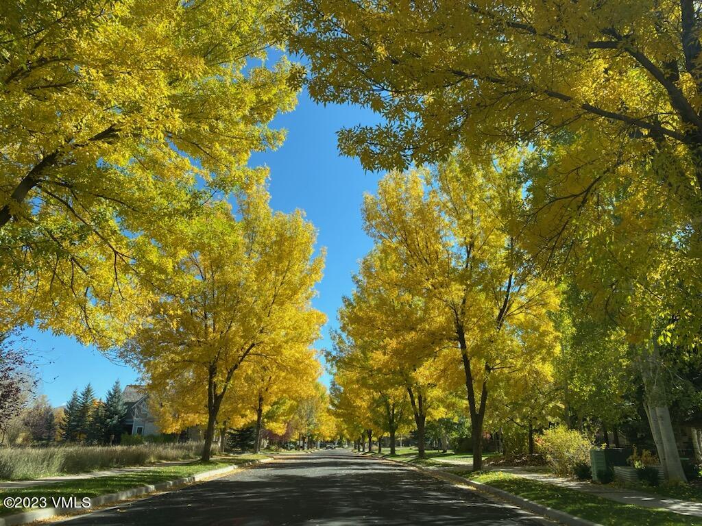 275 Robins Egg Eagle, CO 81631 - Photo 3 of 46 a view of a yard with plants and trees