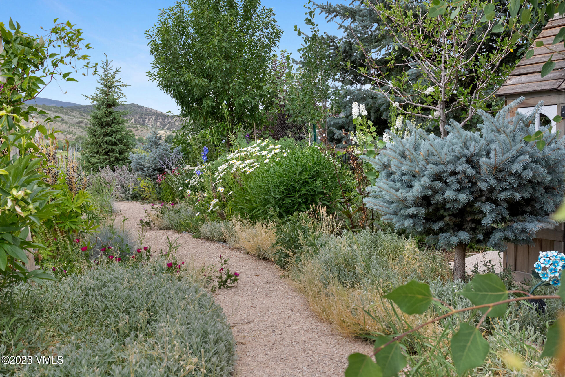 275 Robins Egg Eagle, CO 81631 - Photo 32 of 46 a view of a garden with plants and large trees