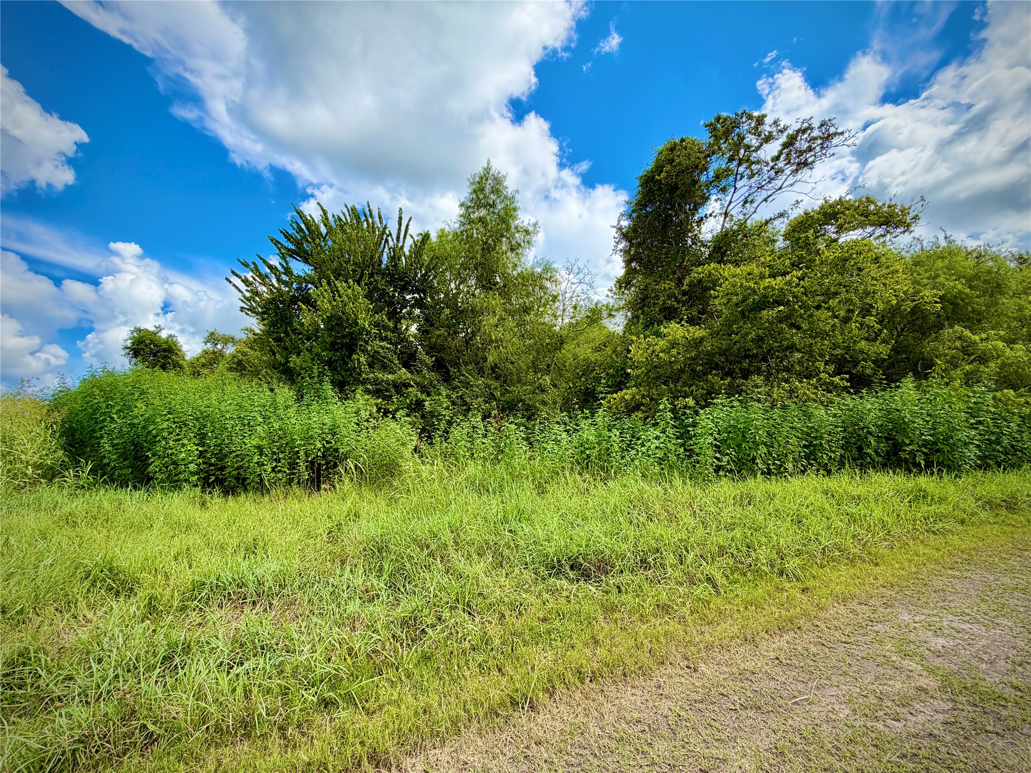 0 County Road 121 Rosharon, TX 77583 - Photo 1 of 11 Gallery Image 1