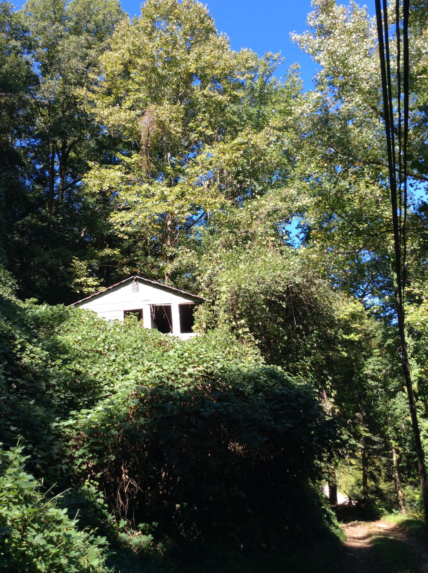128 Mt Luke Road Townsend, TN 37882 - Photo 1 of 12 IMG_0672