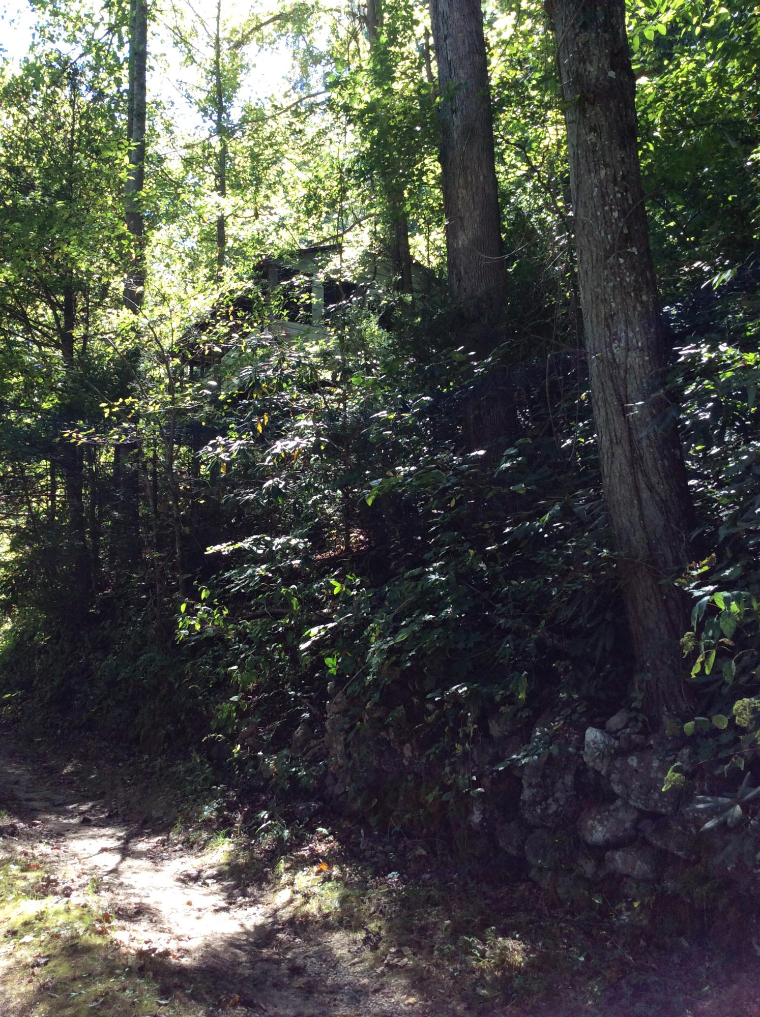 128 Mt Luke Road Townsend, TN 37882 - Photo 7 of 12 IMG_0667
