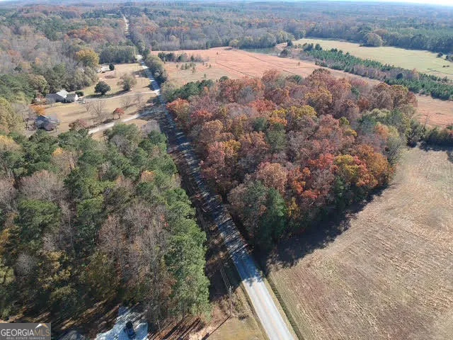 a view of a dry yard with trees