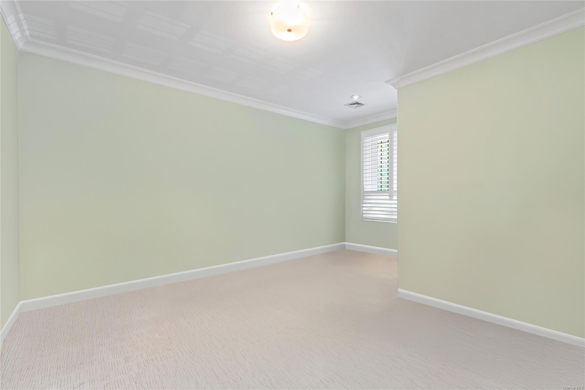 8 Holiday Pond Road Jericho, NY 11753 - Photo 26 of 43 Unfurnished room featuring crown molding and light carpet