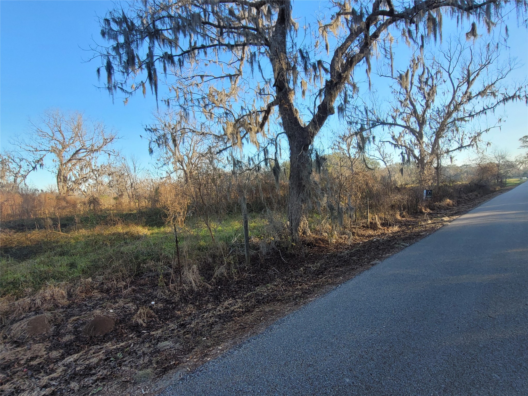 0 Cr-13 Damon, TX 77430 - Photo 1 of 6 a view of a yard
