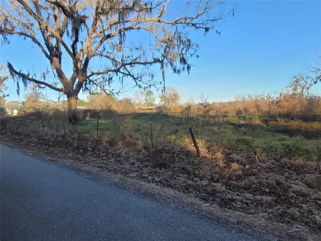 a view of a yard with a tree