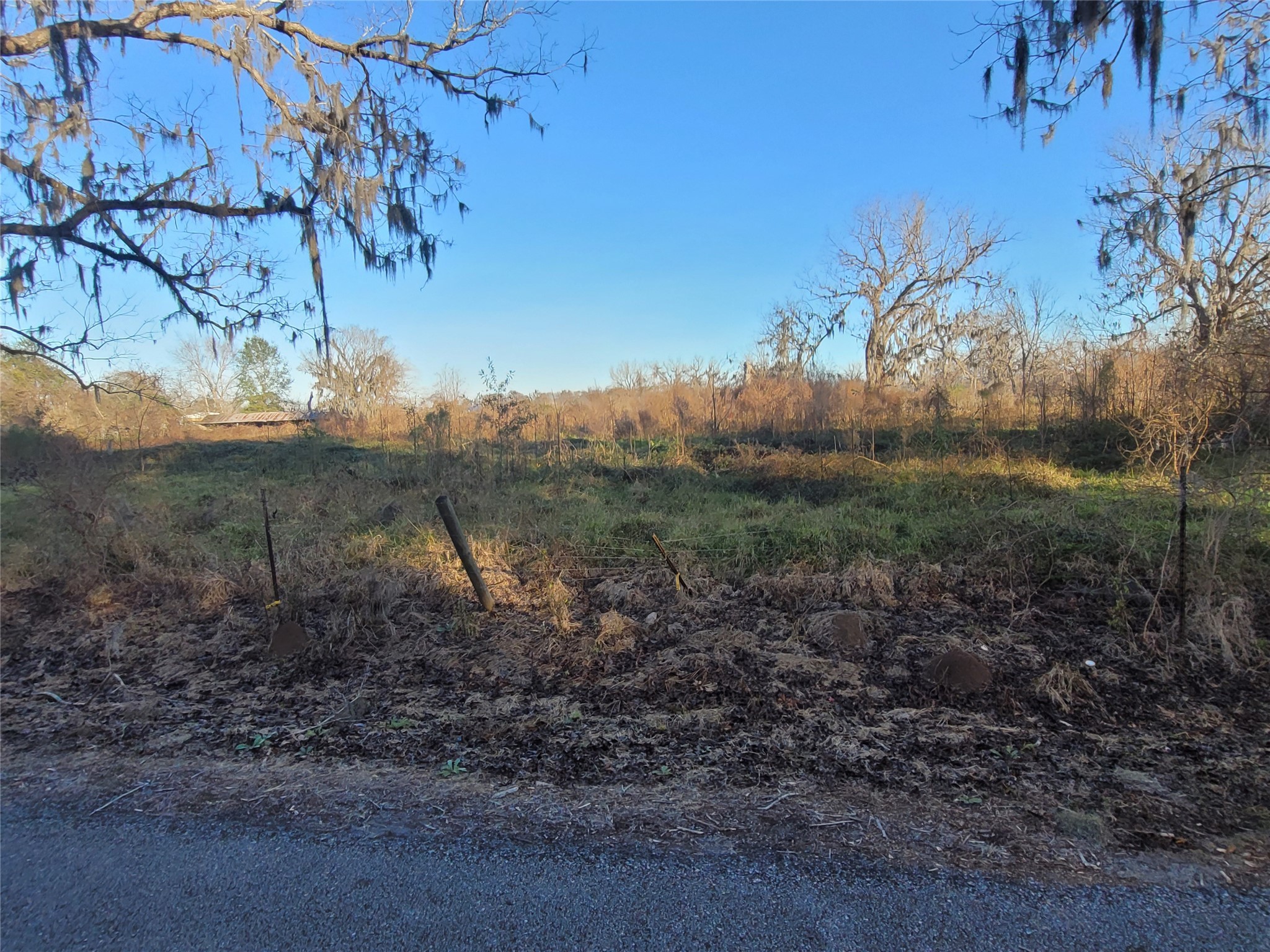 0 Cr-13 Damon, TX 77430 - Photo 3 of 6 a view of a yard with wooden fence