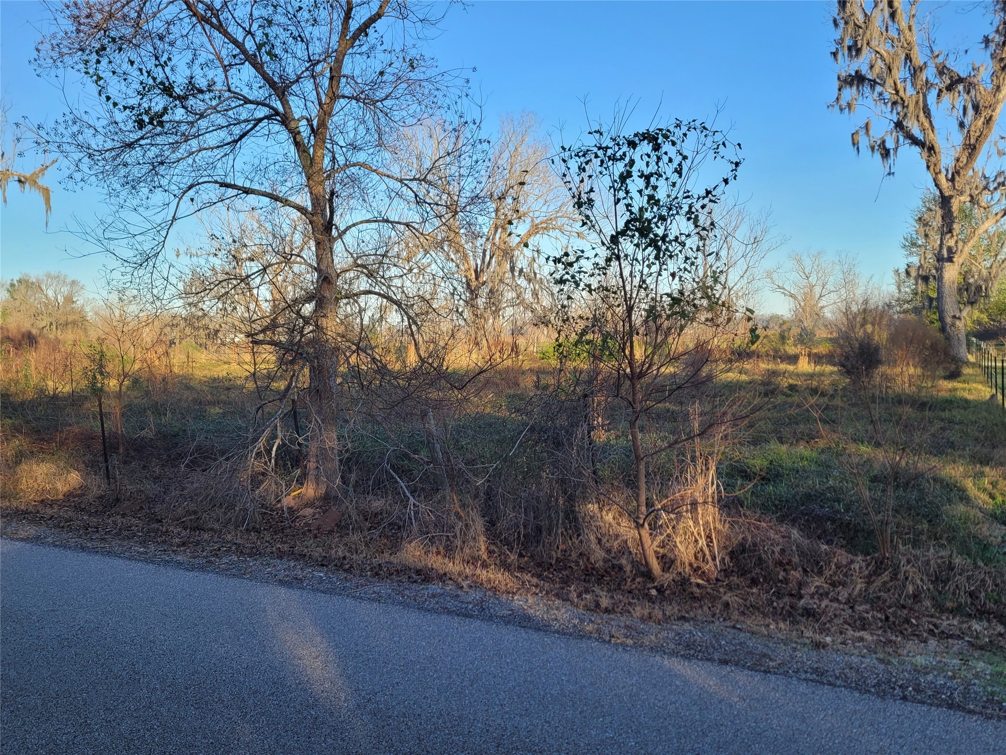 0 Cr-13 Damon, TX 77430 - Photo 4 of 6 a backyard of a house with lots of green space