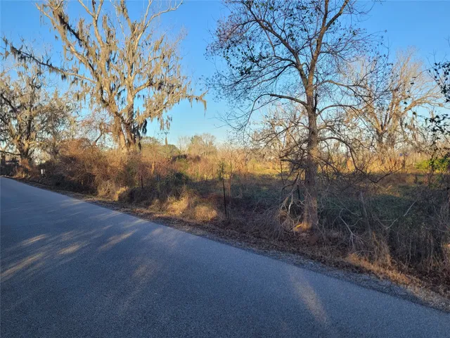 a view of a yard next to a house