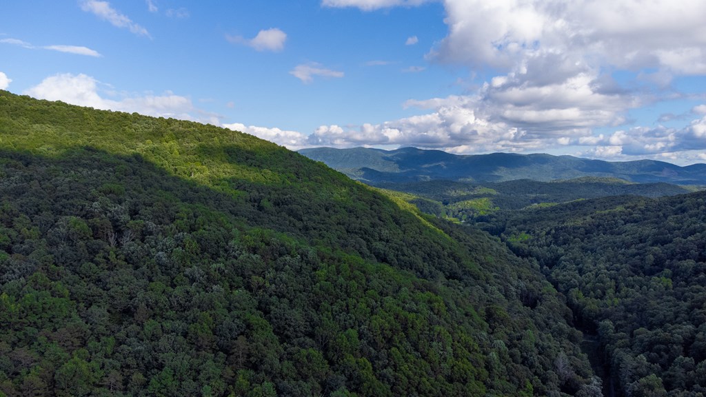 Lot 18 Cub Trail Cherry Log, GA 30522 - Photo 10 of 17