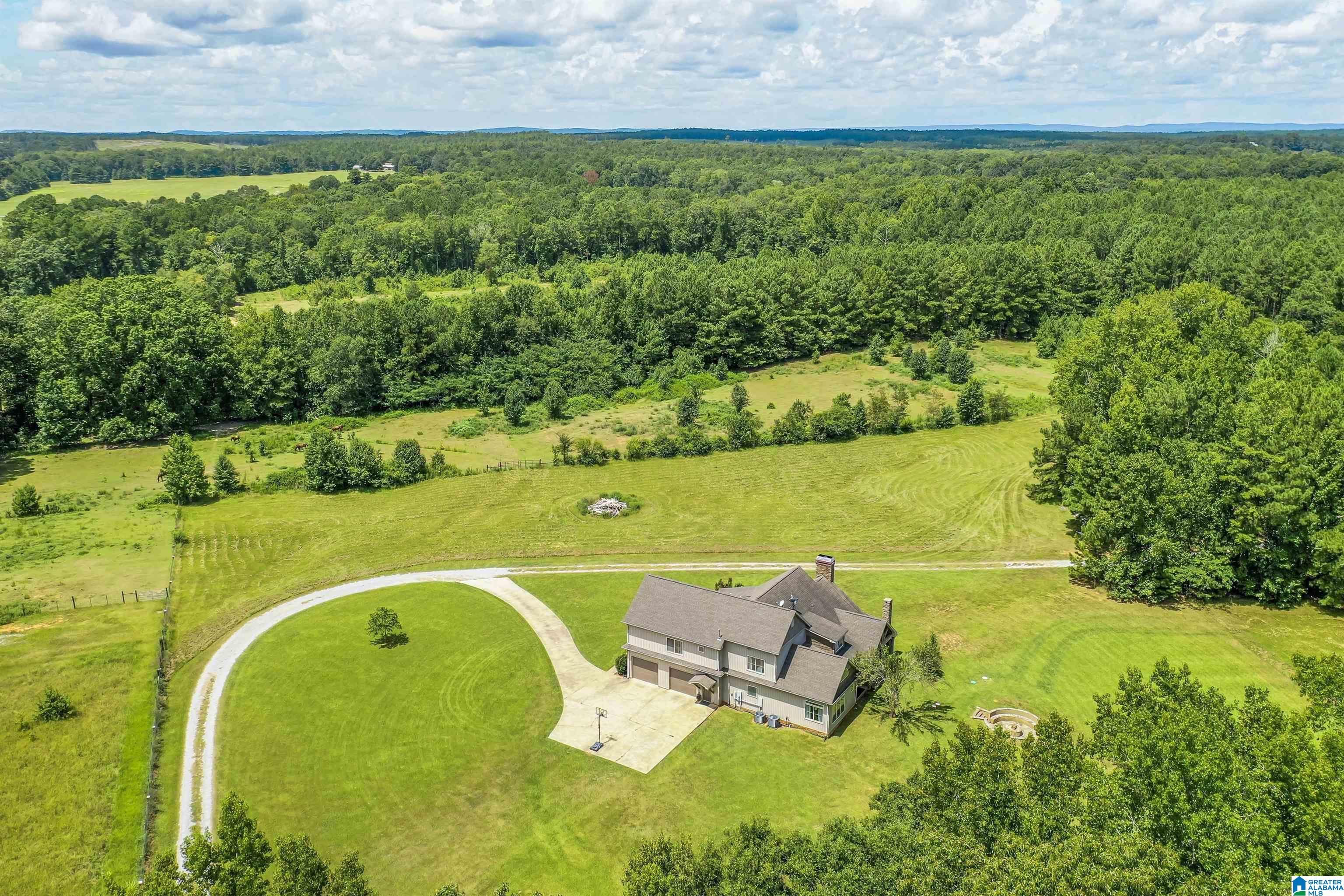 130 Glenn Road Wilsonville, AL 35186 - Photo 46 of 50