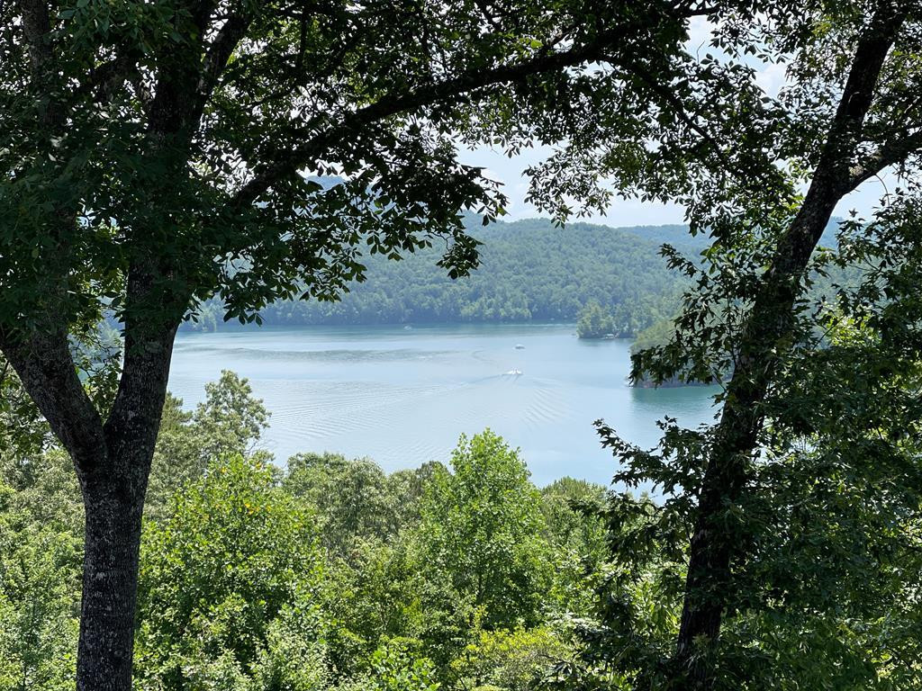 500 B-5 Marina Road, Unit B5 Murphy, NC 28906 - Photo 2 of 62 AMAZING VIEWS