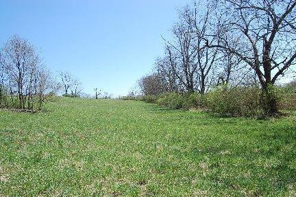 2139 Fishers Mill Road Midway, KY 40347 - Photo 9 of 9 Photo 9