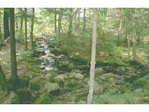 11 Wallace Brook Road Brookline, NH 03033 - Photo 1 of 5