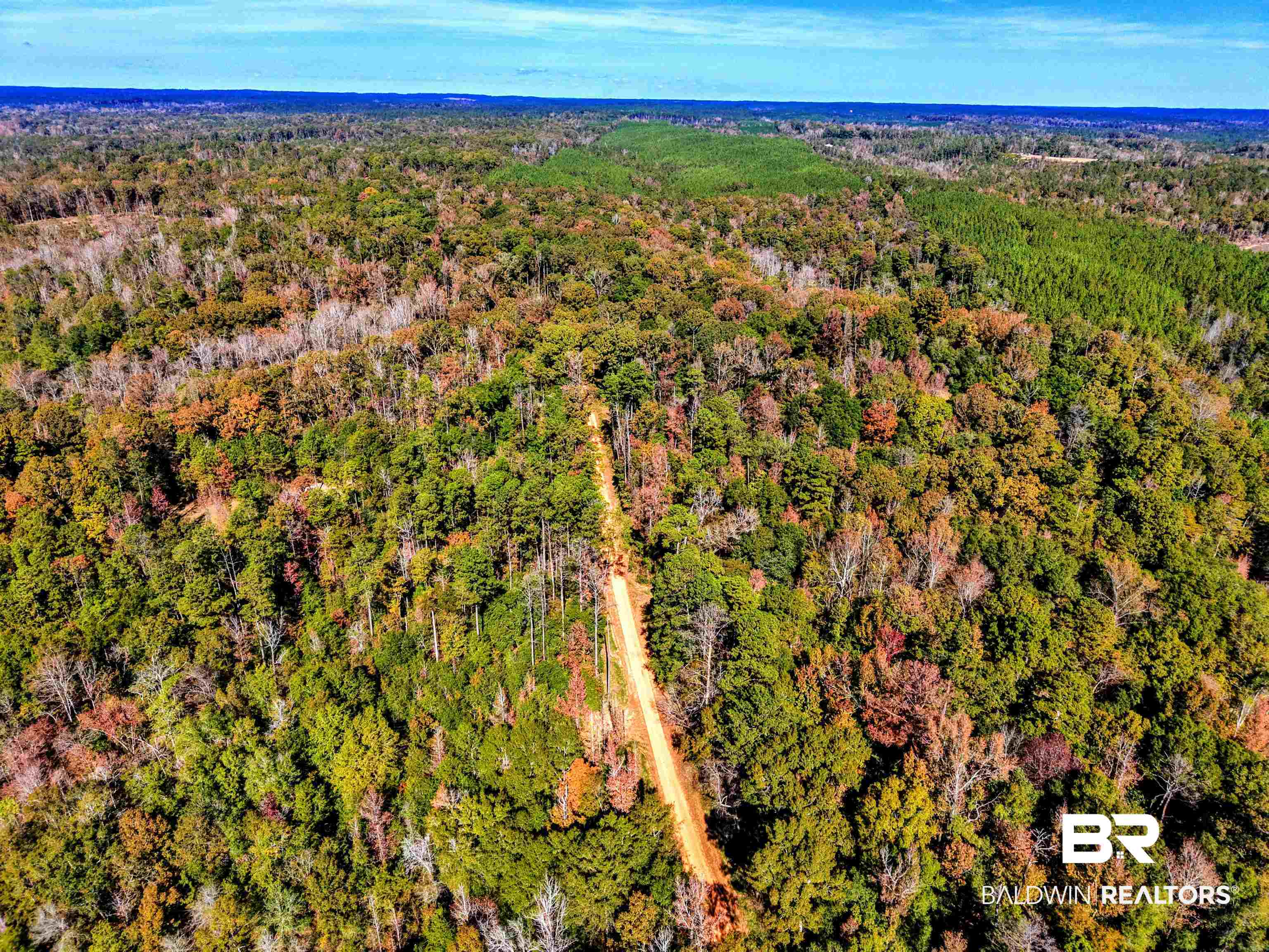 1700 Prospect Road Coffeeville, AL 36524 - Photo 74 of 74