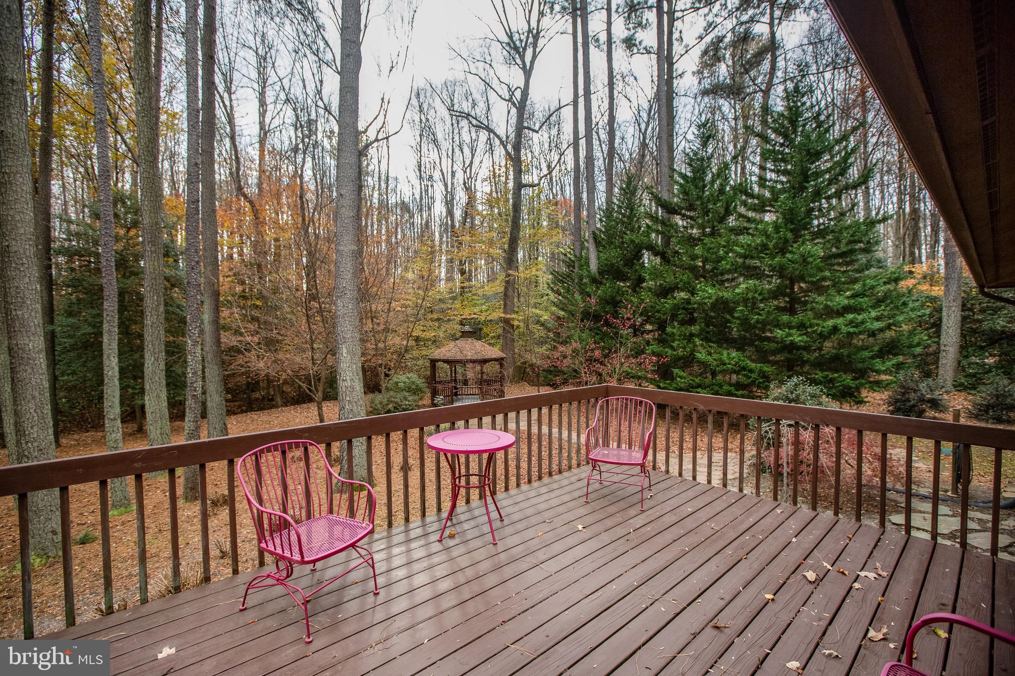 14346 Round Hill Road King George, VA 22485 - Photo 13 of 31 Back porch
