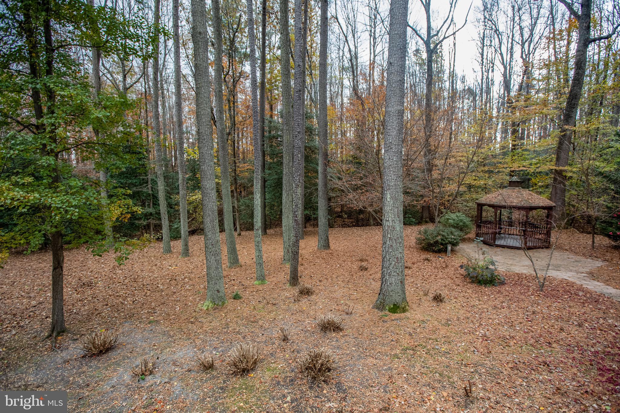 14346 Round Hill Road King George, VA 22485 - Photo 9 of 31 Backyard view