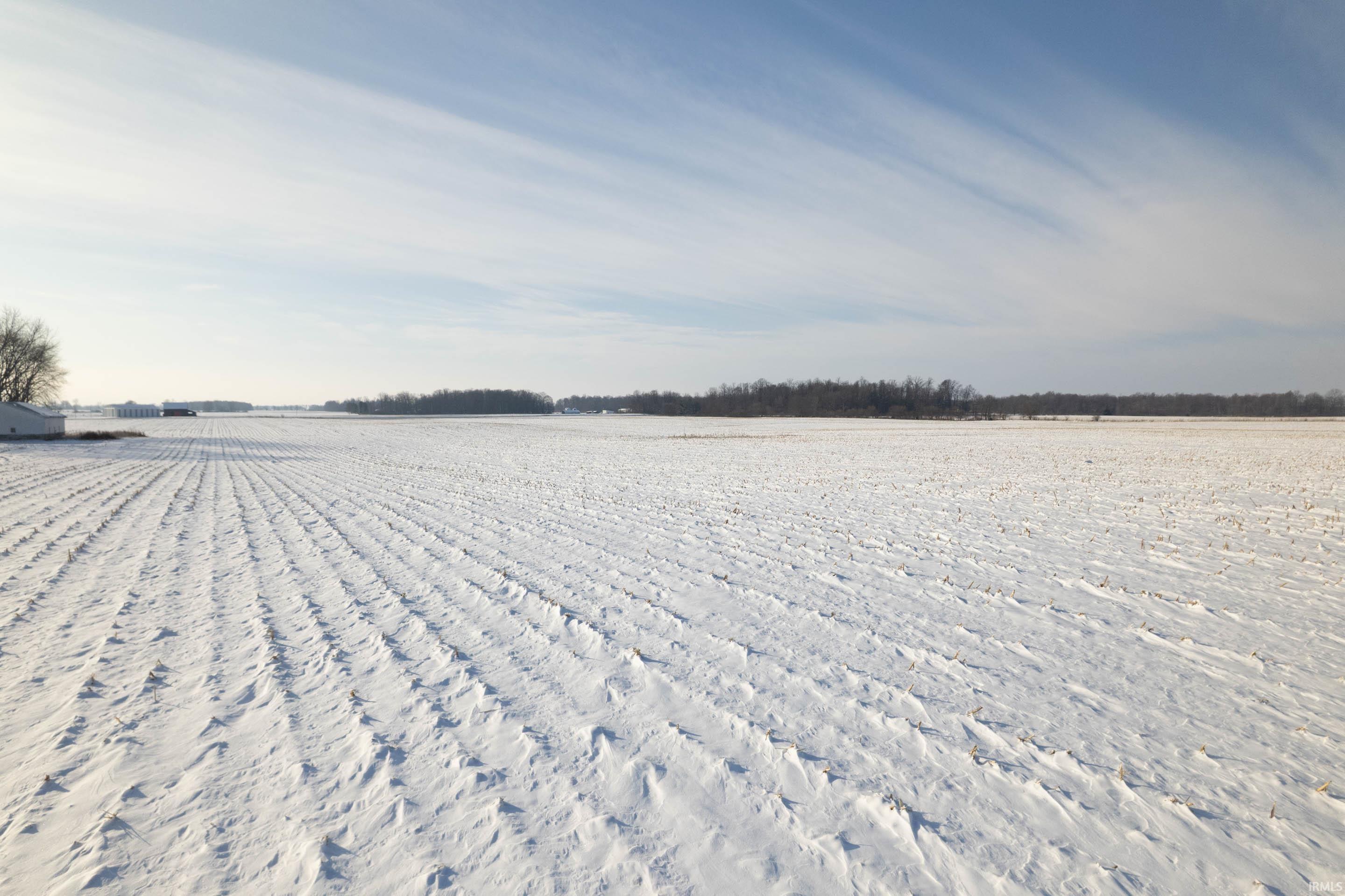 900 North County Road Losantville, IN 47354 - Photo 2 of 3