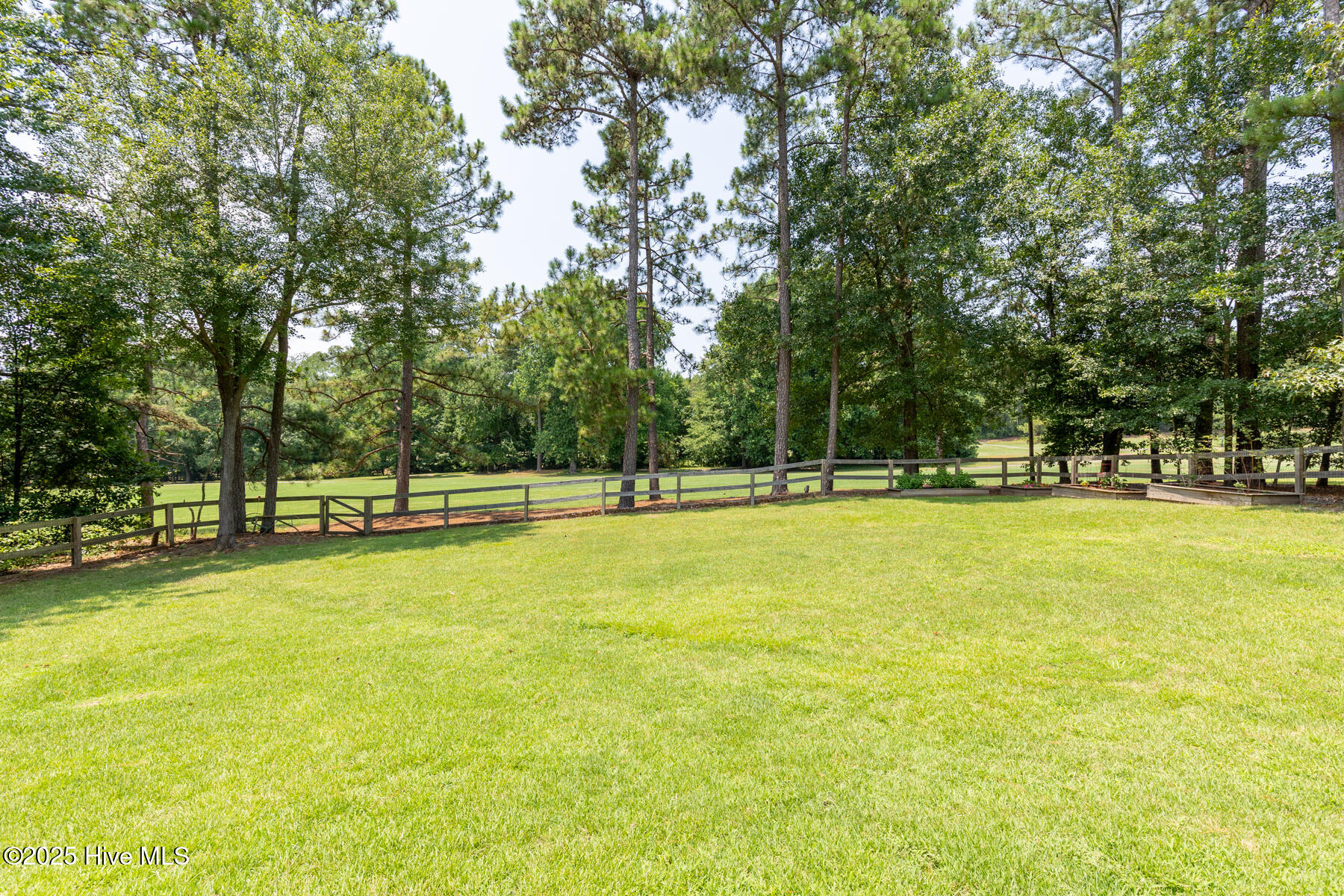 3952 Niagara Carthage Road Whispering Pines, NC 28327 - Photo 39 of 43 backyard1