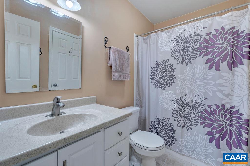 344 Minor Ridge Road Charlottesville, VA 22901 - Photo 19 of 53 a bathroom with a sink toilet and shower