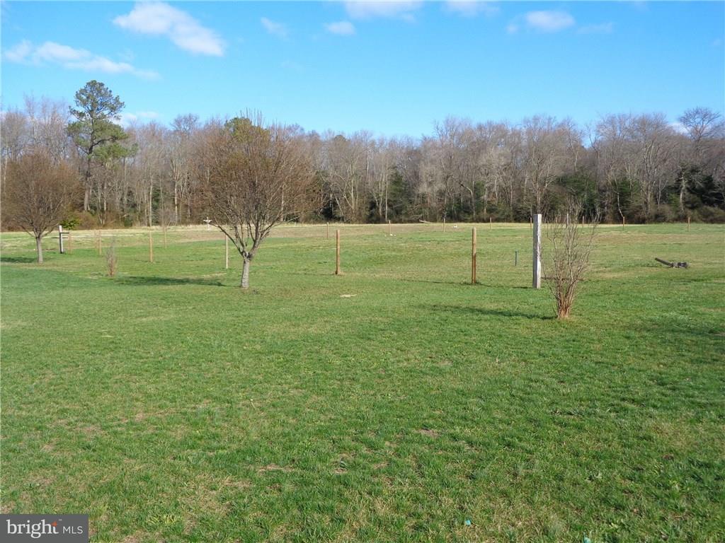 21039 East Piney Grove Road Georgetown, DE 19947 - Photo 11 of 18 Gallery Image 11