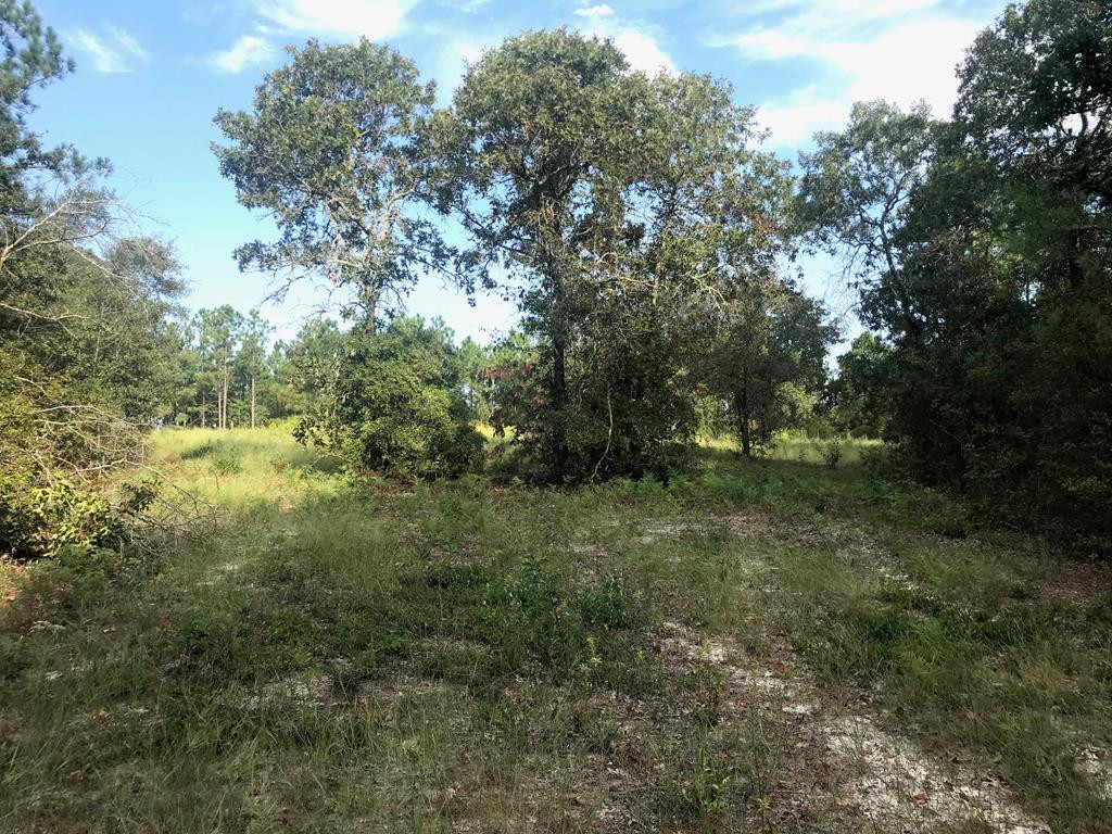Lot#13-19 Holder Road Batesburg, SC 29006 - Photo 9 of 18