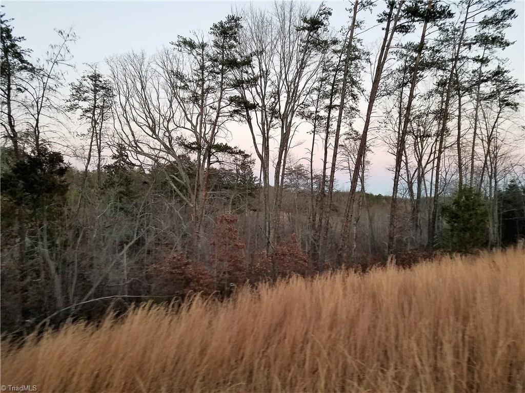 423 Duggins Road Stoneville, NC 27048 - Photo 21 of 23 Gallery Image 21