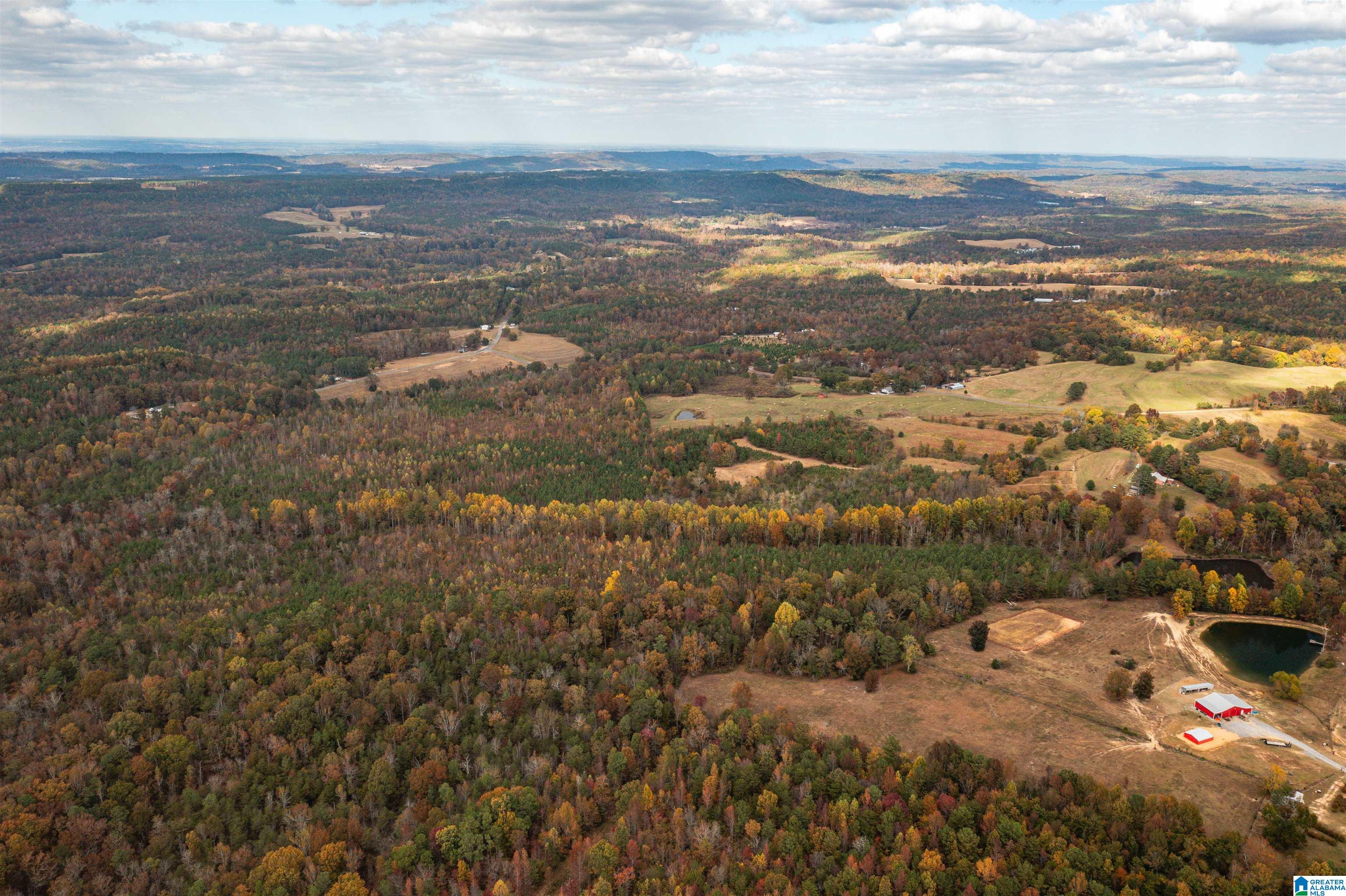 0 Mountain View Church Road, Unit 1 Altoona, AL 35952 - Photo 14 of 36