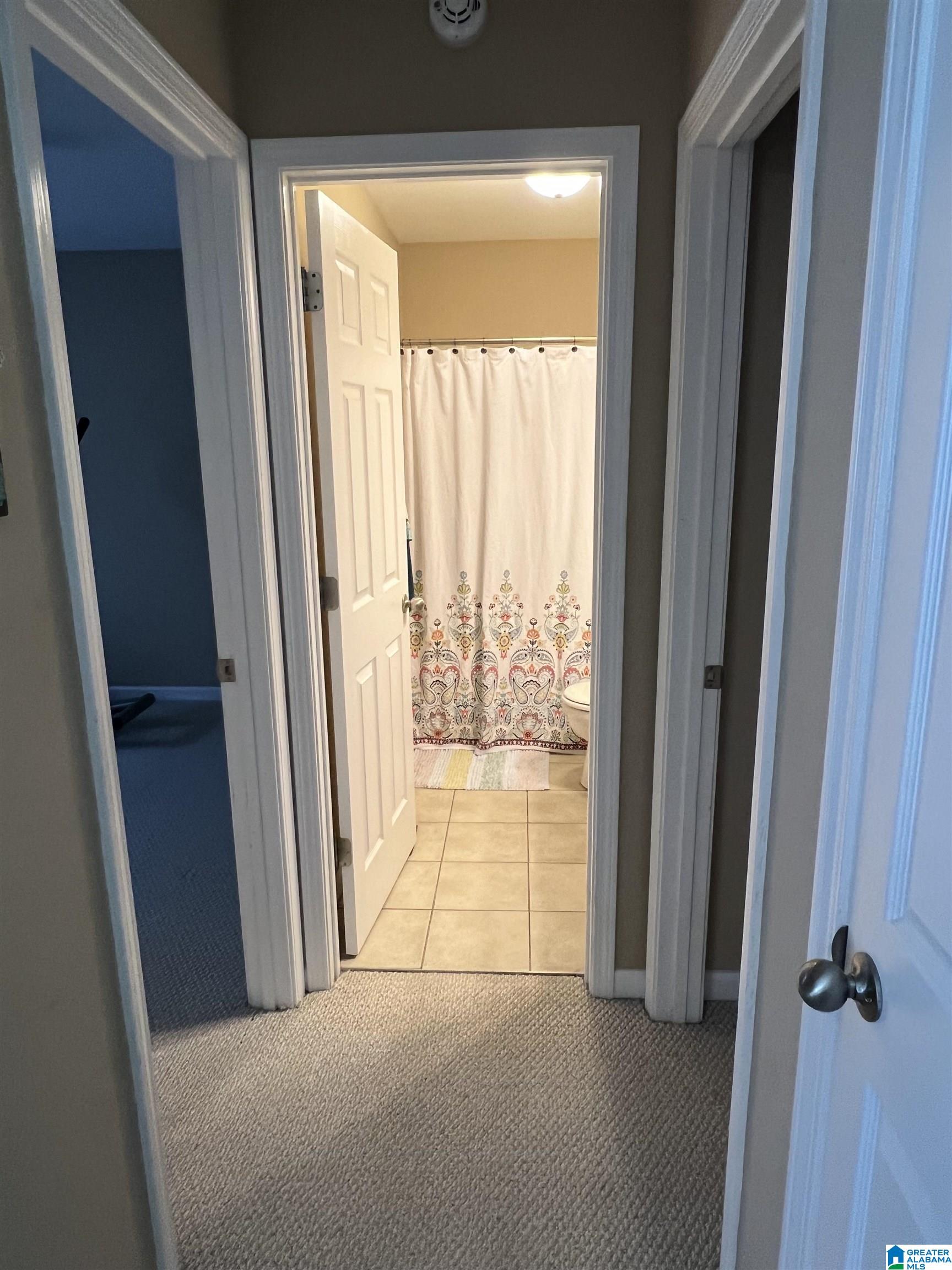 317 Wet Cat Road Hayden, AL 35079 - Photo 17 of 21