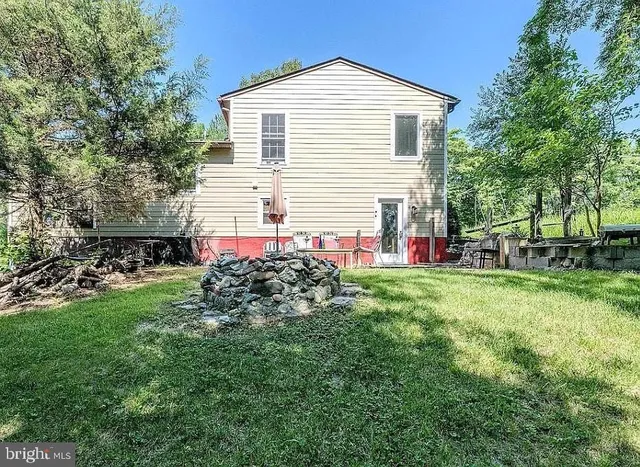 a view of a backyard with plants and large trees