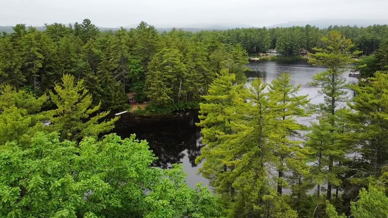 134-136 Brownfield Road Conway, NH 03813 - Photo 10 of 60 Gallery Image 10