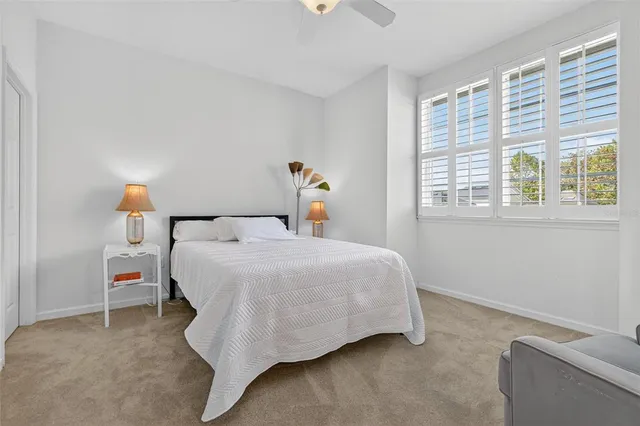 a view of a park with large trees