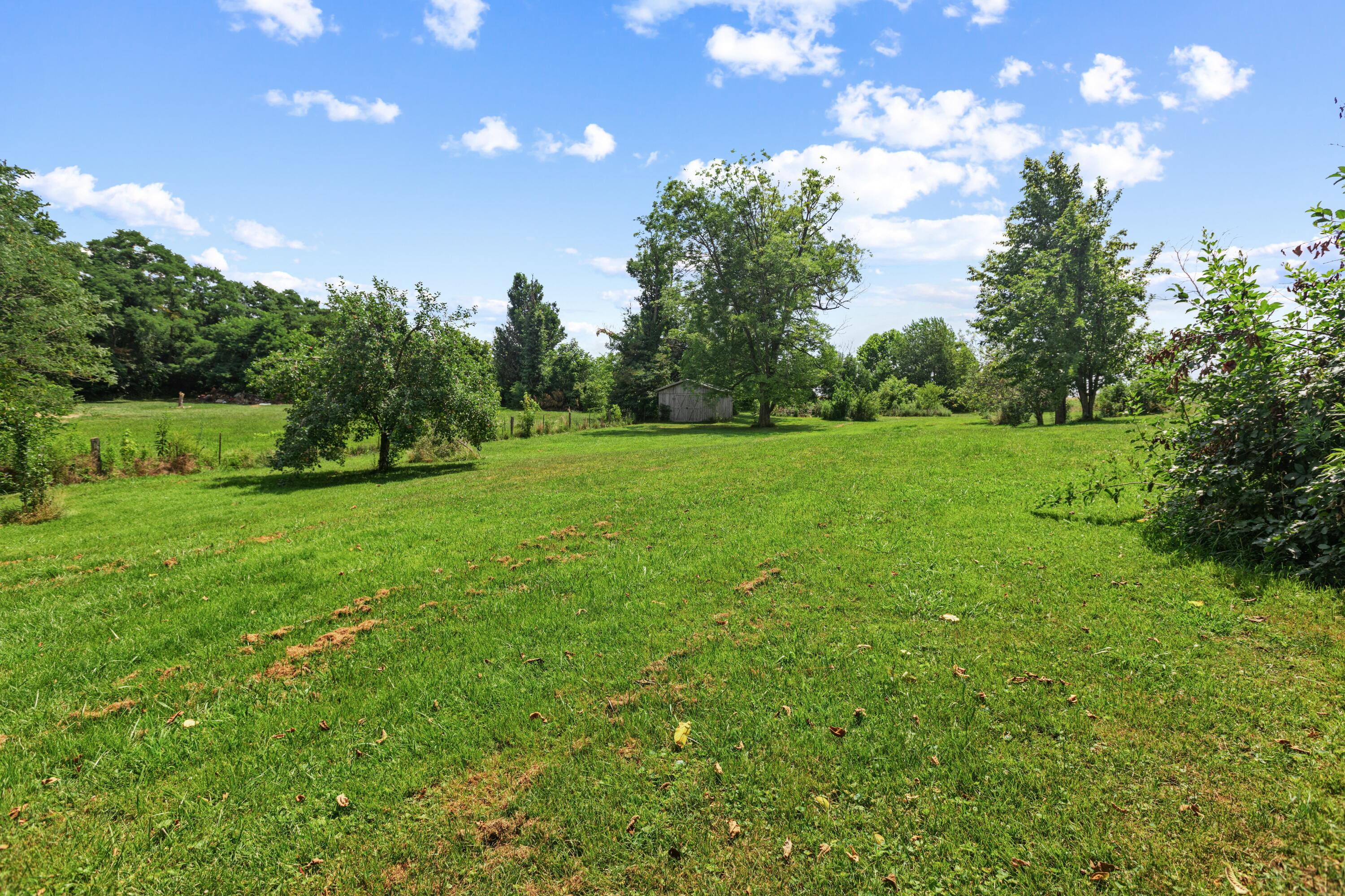 197 Gum Bottom Road Waco, KY 40385 - Photo 25 of 27 Backyard