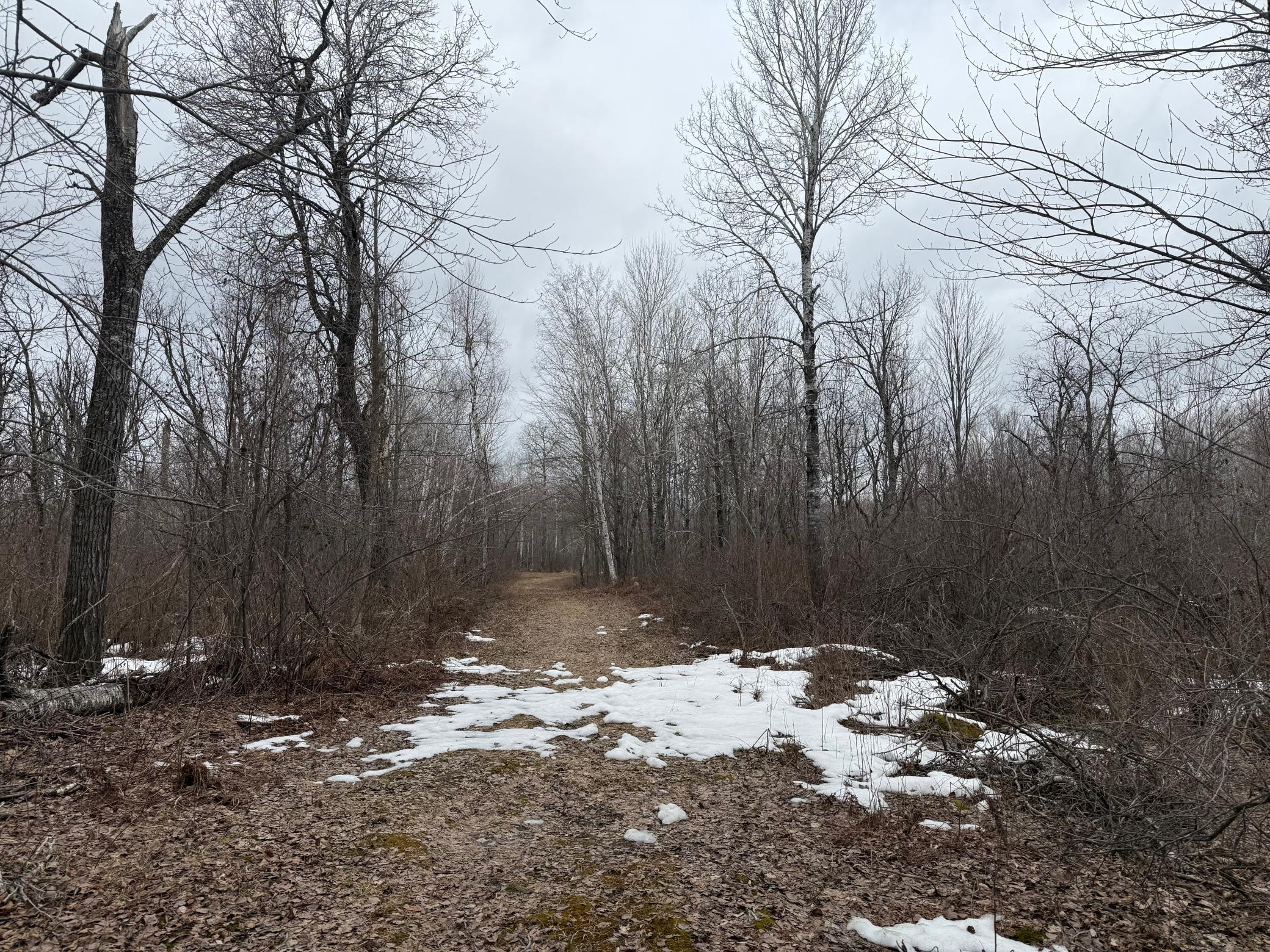 61613 Park Hills Road Bruno, MN 55712 - Photo 12 of 42