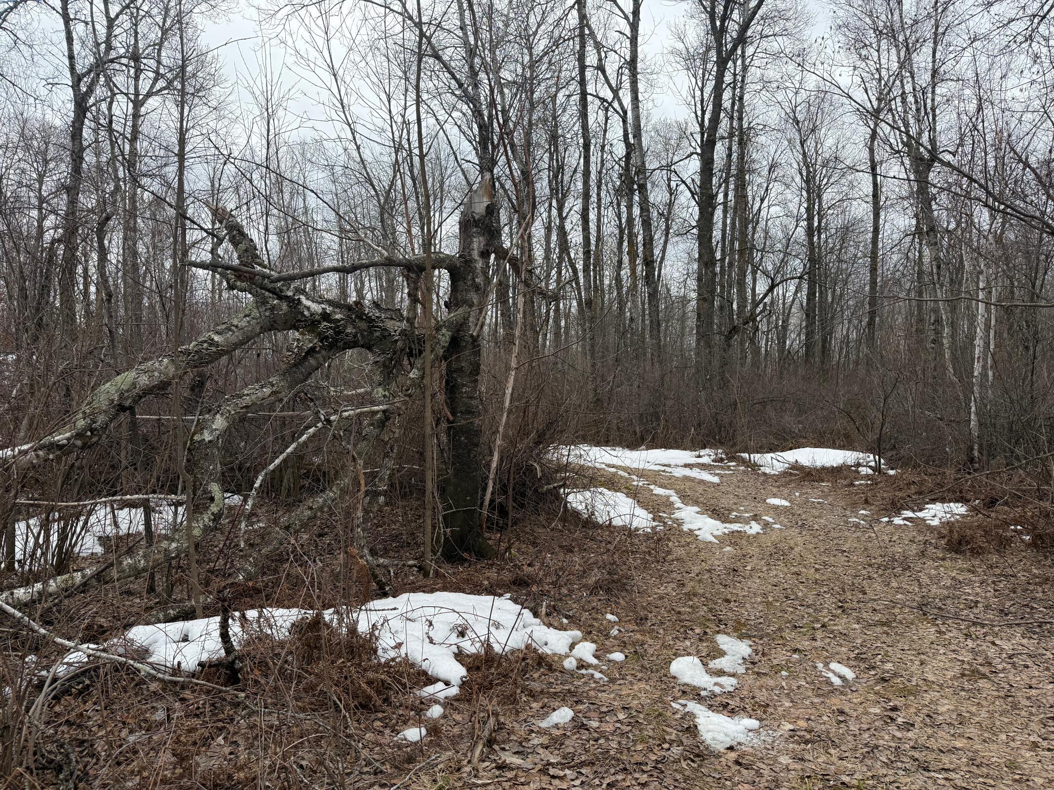 61613 Park Hills Road Bruno, MN 55712 - Photo 13 of 42