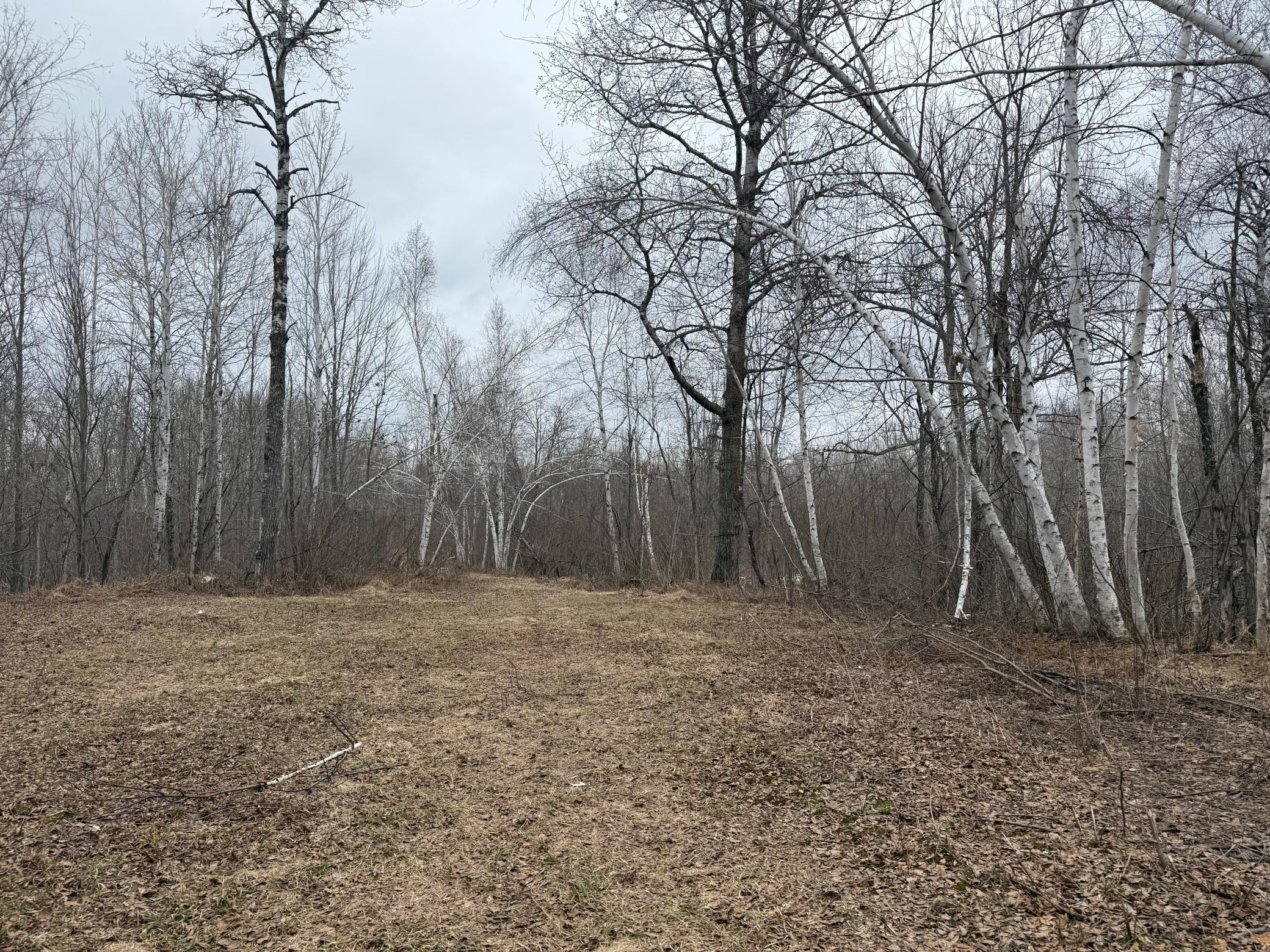 61613 Park Hills Road Bruno, MN 55712 - Photo 14 of 42