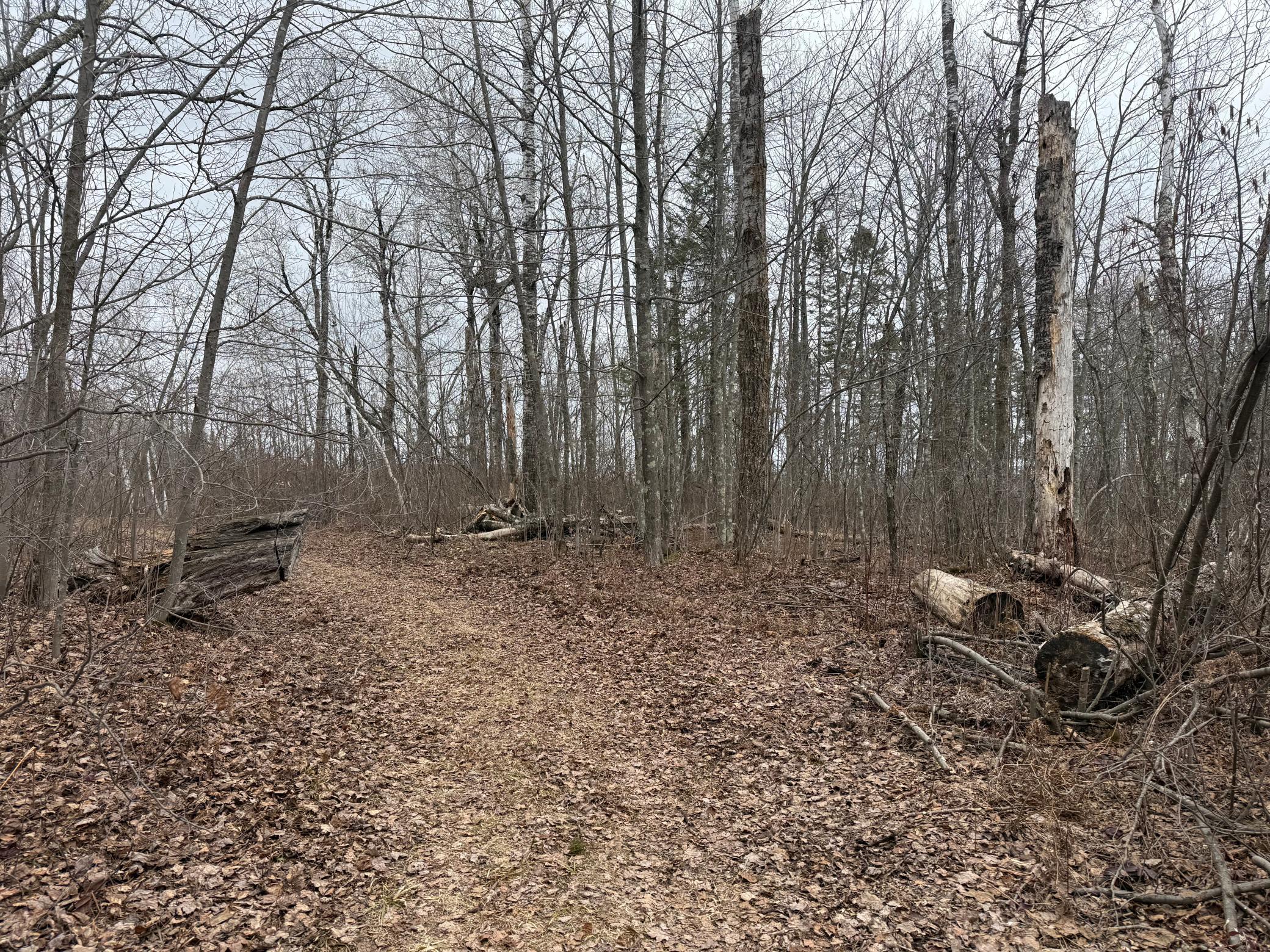 61613 Park Hills Road Bruno, MN 55712 - Photo 15 of 42