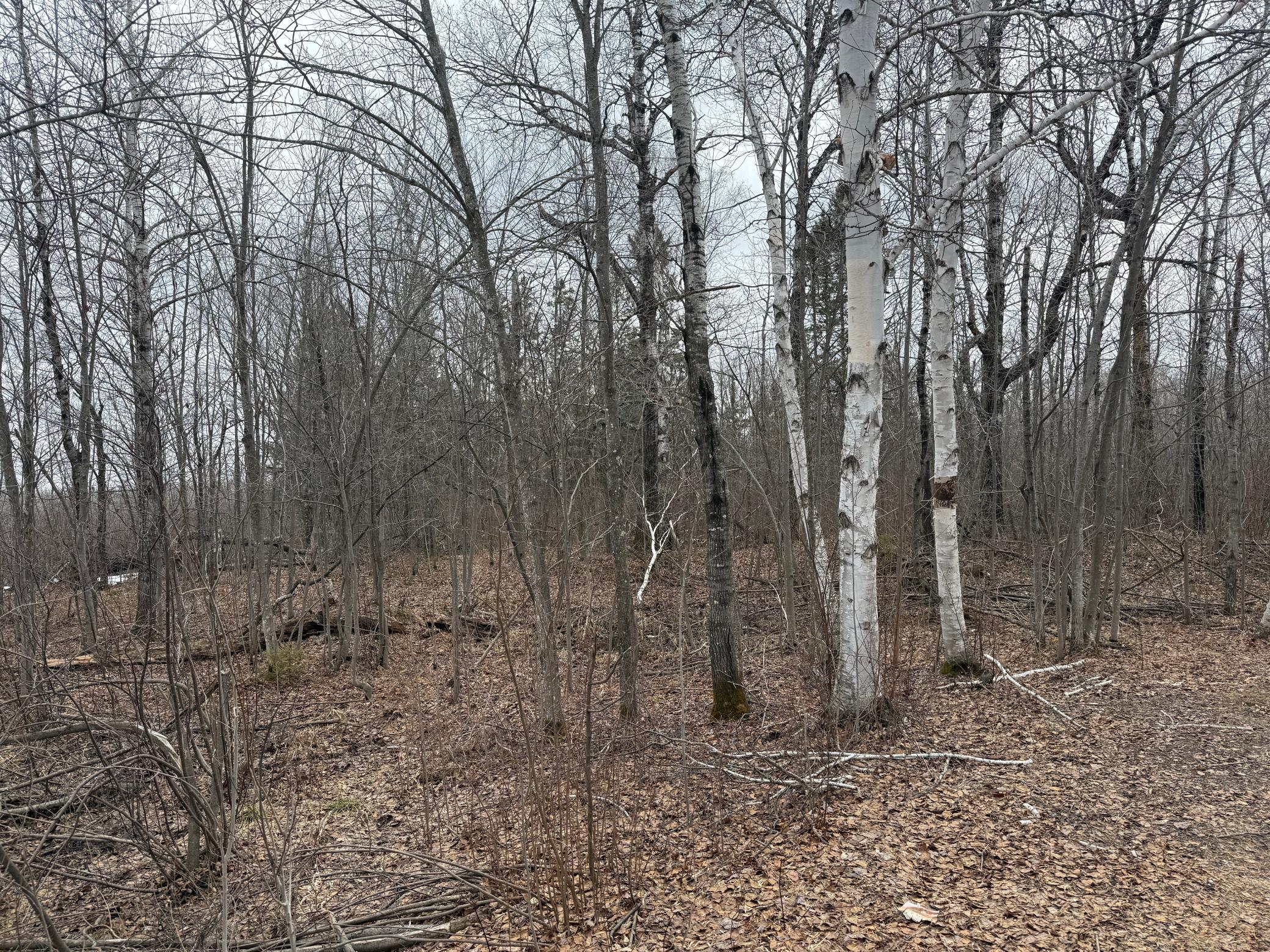 61613 Park Hills Road Bruno, MN 55712 - Photo 16 of 42