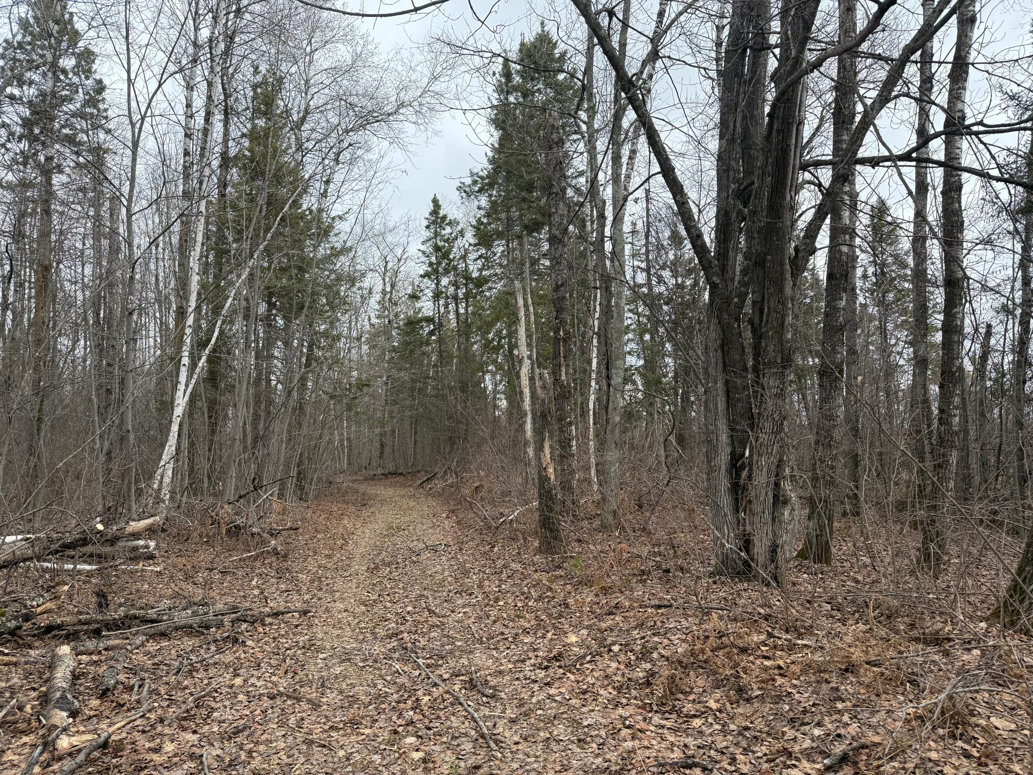 61613 Park Hills Road Bruno, MN 55712 - Photo 18 of 42