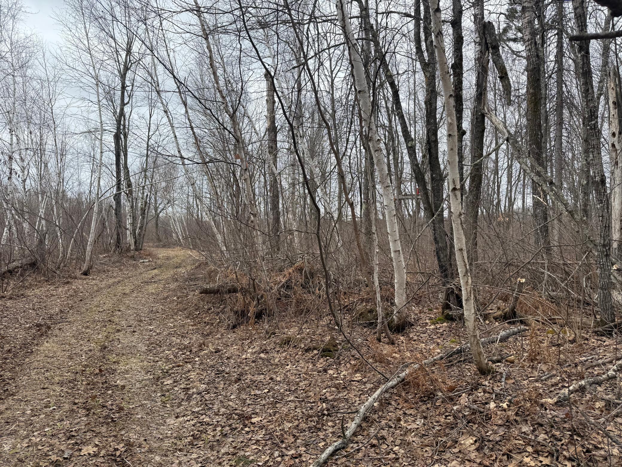 61613 Park Hills Road Bruno, MN 55712 - Photo 19 of 42