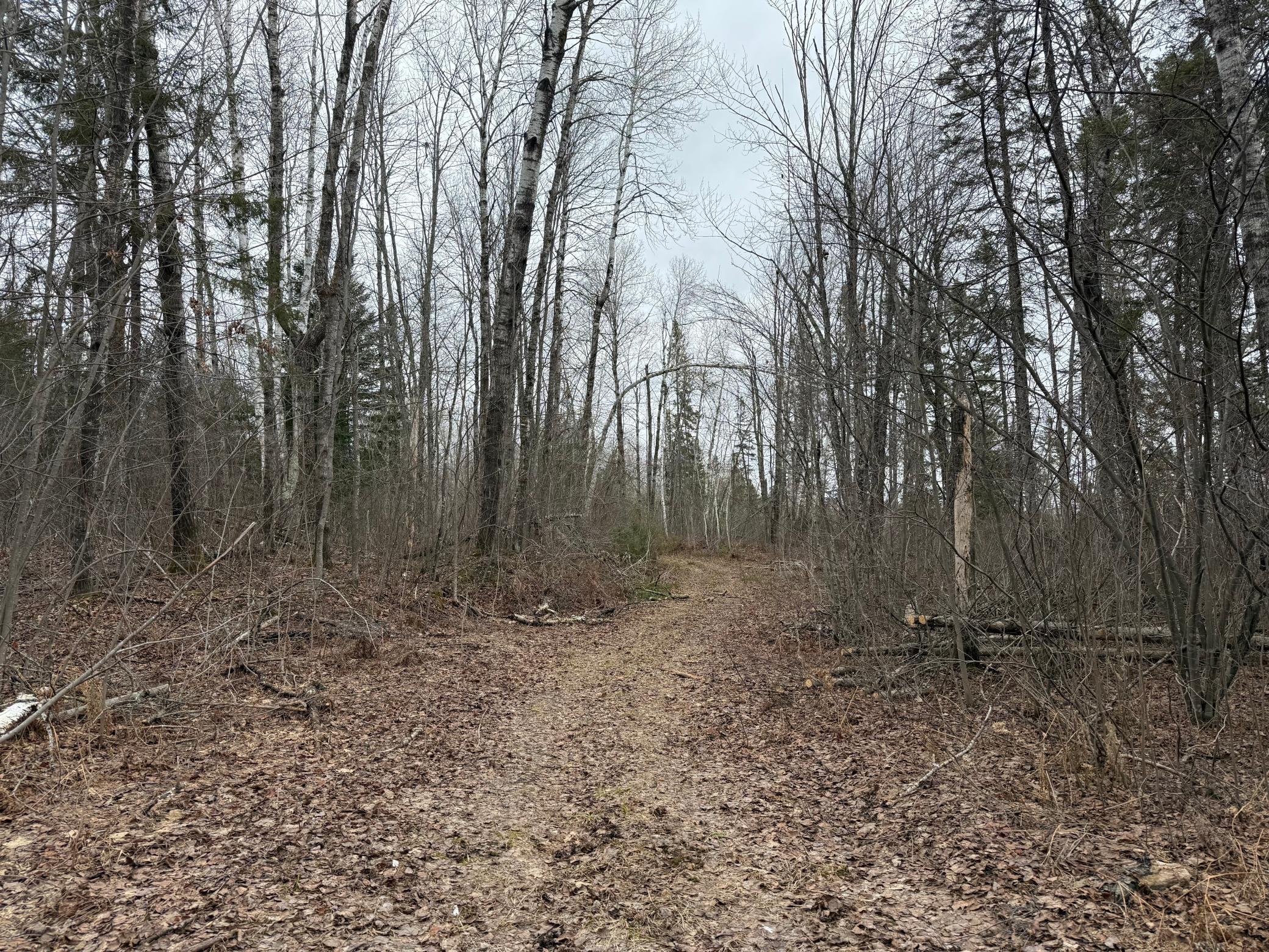 61613 Park Hills Road Bruno, MN 55712 - Photo 20 of 42