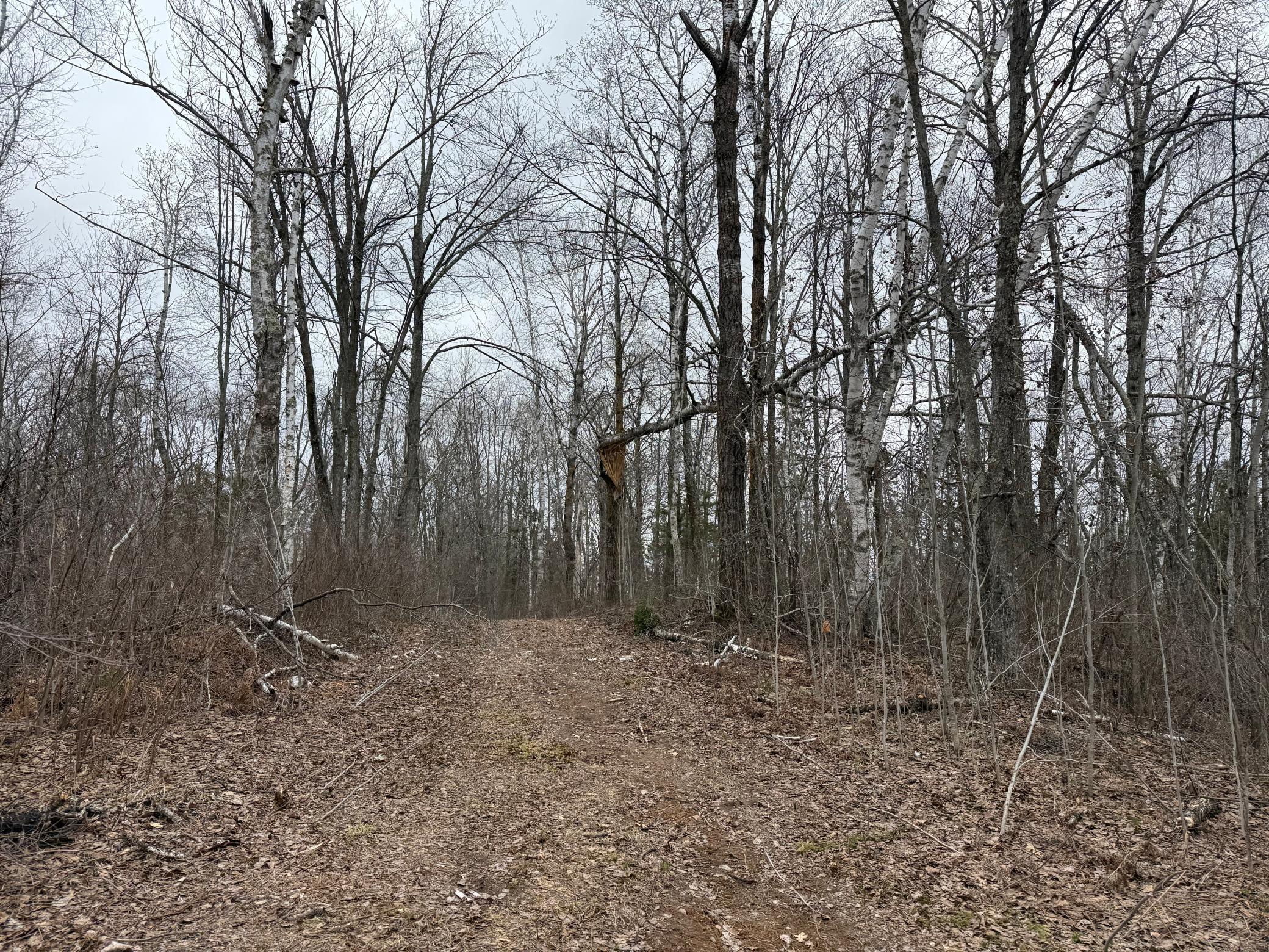 61613 Park Hills Road Bruno, MN 55712 - Photo 21 of 42