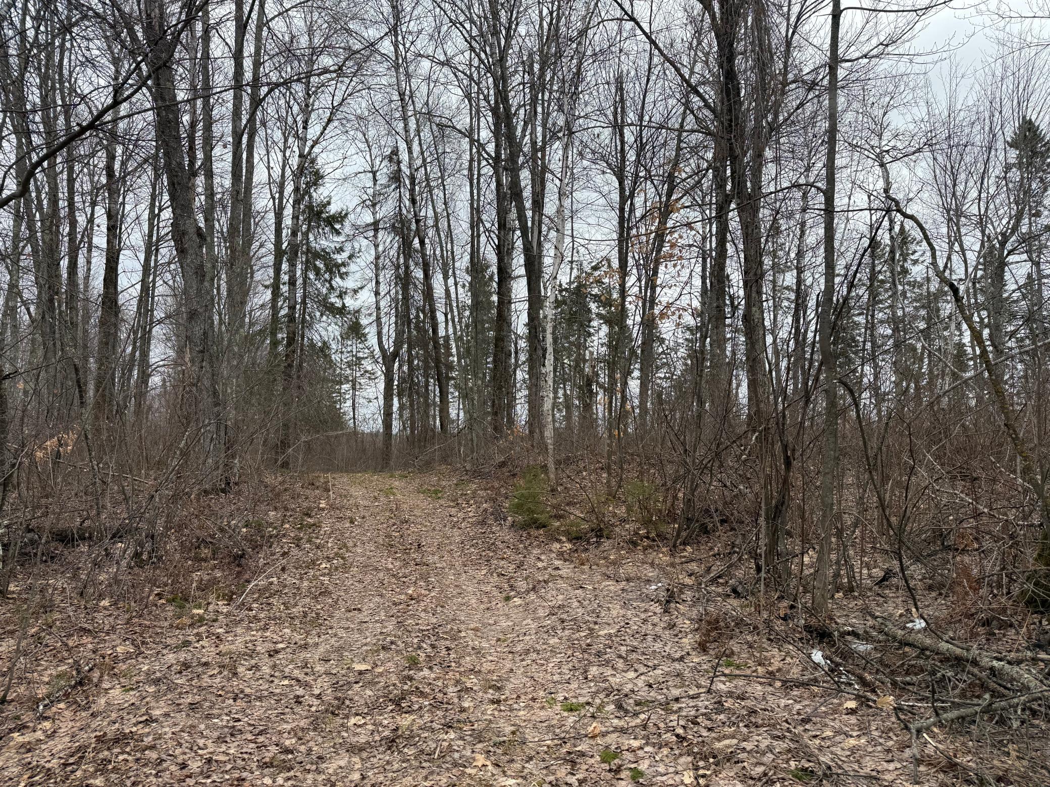 61613 Park Hills Road Bruno, MN 55712 - Photo 22 of 42