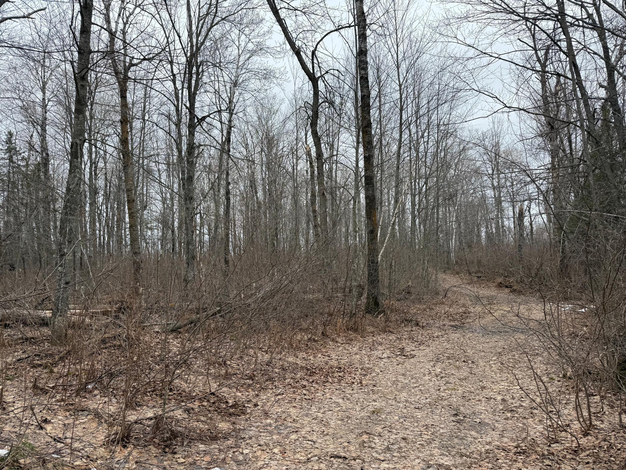 61613 Park Hills Road Bruno, MN 55712 - Photo 23 of 42