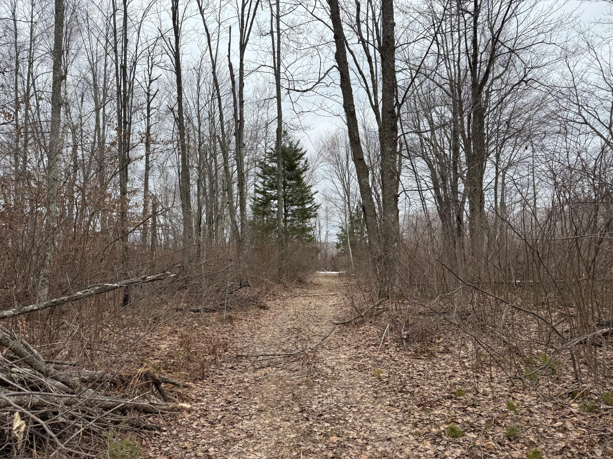 61613 Park Hills Road Bruno, MN 55712 - Photo 24 of 42