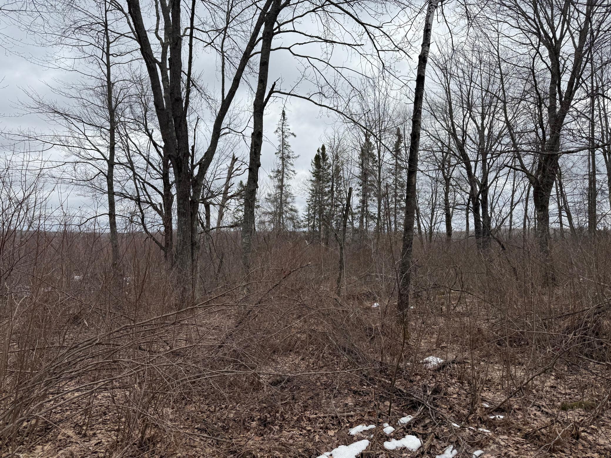 61613 Park Hills Road Bruno, MN 55712 - Photo 25 of 42