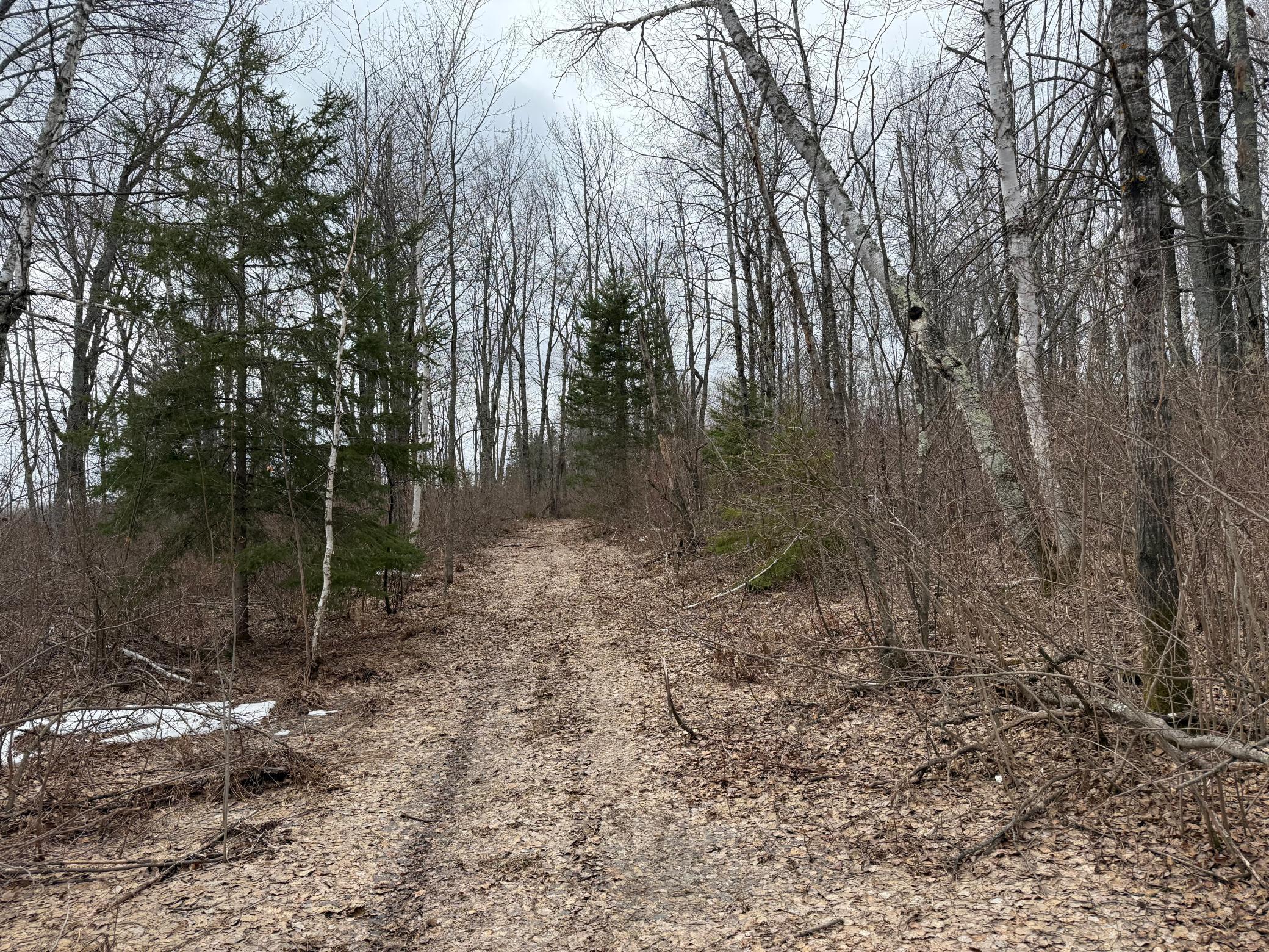 61613 Park Hills Road Bruno, MN 55712 - Photo 26 of 42