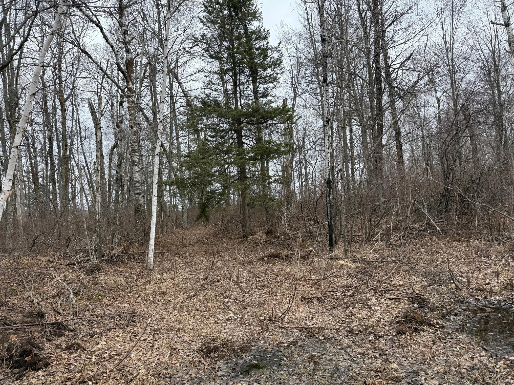 61613 Park Hills Road Bruno, MN 55712 - Photo 27 of 42